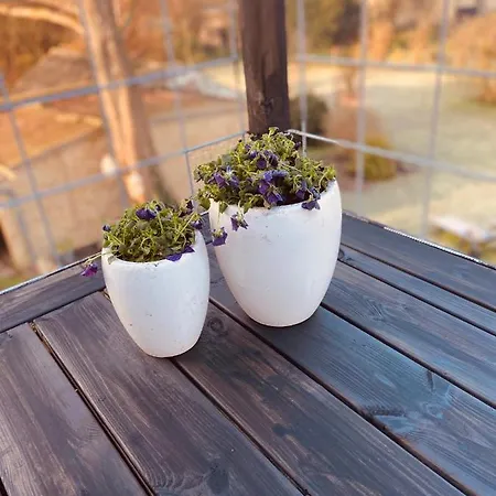 Den Gamle Apotekergaard Bed & Breakfast