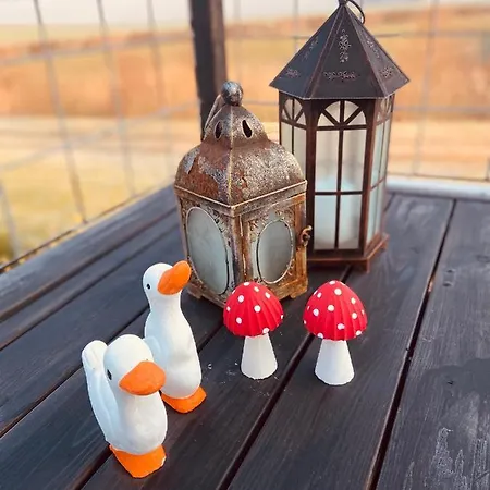 Den Gamle Apotekergaard