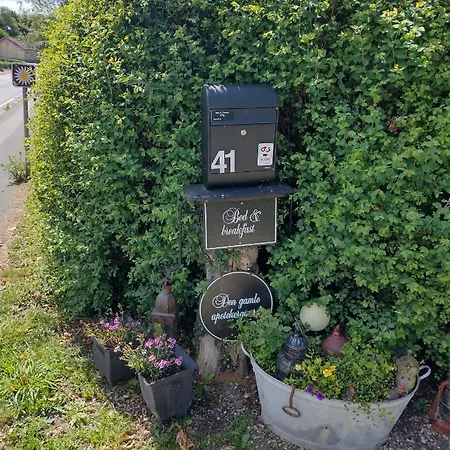 ベッド・アンド・ブレックファスト Den Gamle Apotekergaard Hong