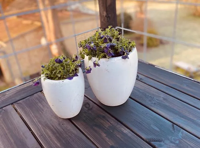 Den Gamle Apotekergaard לינה וארוחת בוקר